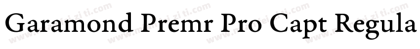 Garamond Premr Pro Capt Regular字体转换